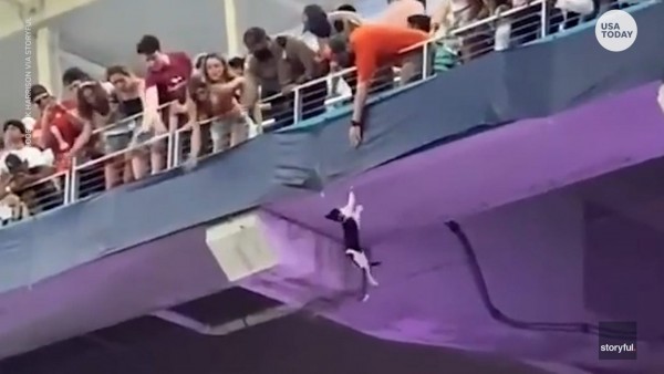 Όταν η αμερικανική σημαία έσωσε ένα… γατάκι