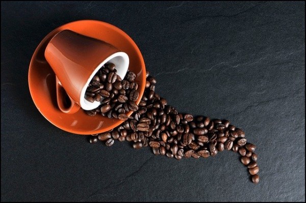 Καφές – Πόσο κοστίζει στο περιβάλλον μια κούπα με το αγαπημένο ρόφημα