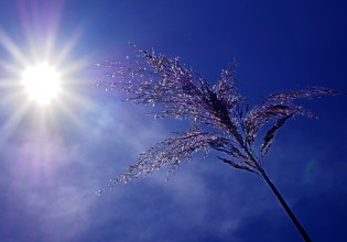 Καιρός – Στο «κόκκινο» ο υδράργυρος – Σε ποιες περιοχές έφτασε στους 39 βαθμούς