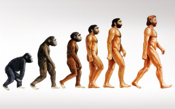 Μετάλλαξη στο DNA άφησε ανθρώπους και πιθήκους χωρίς ουρές