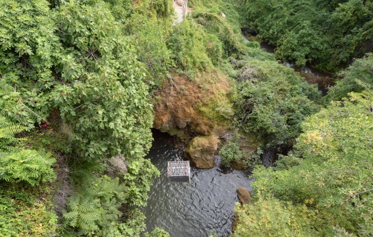 Στο βυθό του Αράπιτσα 500 φιάλες κρασιού παραγωγής Νάουσας