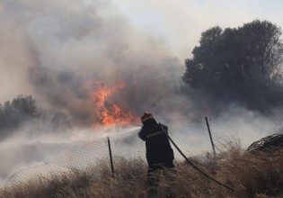 Φωτιά στο Κιλκίς – Μαίνεται το μέτωπο – Ενισχύθηκαν οι δυνάμεις της πυροσβεστικής
