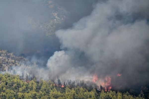 Κως - Φωτιά σε δασική έκταση - Επιχειρούν και εναέρια μέσα