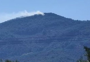 Λέσβος – Μεγάλη φωτιά καίει πευκοδάσος