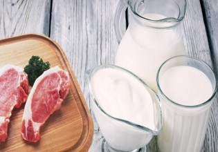 Artemis Plus – Πρόγραμμα ψηφιακών ελέγχων κατά των ελληνοποιήσεων