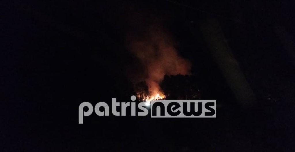 Φωτιά στην Ηράκλεια Ηλείας – Καίγεται αλσύλλιο δίπλα σε κατοικημένη περιοχή