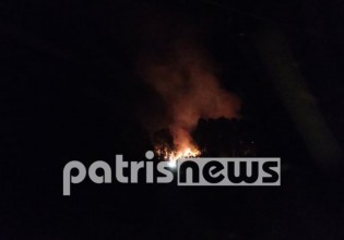 Φωτιά στην Ηράκλεια Ηλείας – Καίγεται αλσύλλιο δίπλα σε κατοικημένη περιοχή