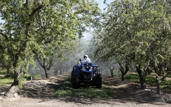 ΚΕΔΕ – Επιστροφή του ειδικού φόρου κατανάλωσης αγροτικού πετρελαίου