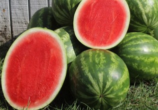 Φλούδες καρπούζι σότε – Βήμα-βήμα η συνταγή που έριξε το TikTok