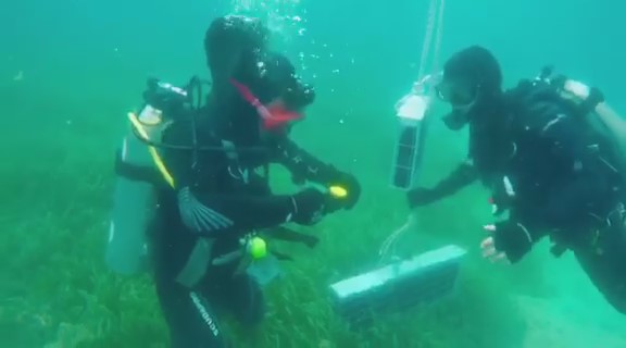 Χαλκιδική – Υποβρύχια κάβα «φιλοξενεί» υπέροχα κρασιά – Παραγγελίες και από Γάλλους