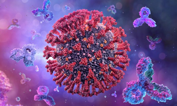 High court prosecutor issues circular calling for immediate intervention, legal action in cases involving fake Covid-19 vax certs