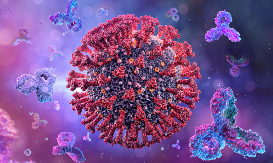 High court prosecutor issues circular calling for immediate intervention, legal action in cases involving fake Covid-19 vax certs