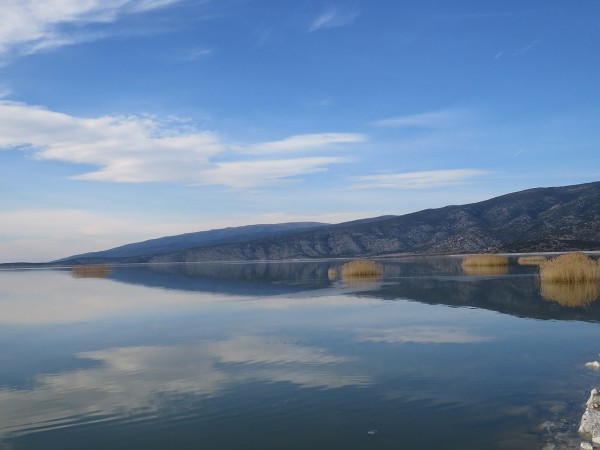 Λίμνη Κάρλα – Απαγορεύεται οποιαδήποτε δραστηριότητα – Οι παραβάτες θα τιμωρούνται