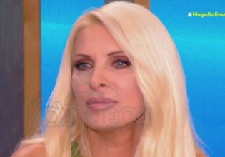 Ελένη Μενεγάκη – Πότε πήρε την απόφαση να επιστρέψει στην τηλεόραση