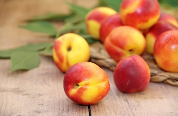 Διεπαγγελματική Πυρηνόκαρπων – Καθυστερεί η ενίσχυση από τους ανοιξιάτικους παγετούς