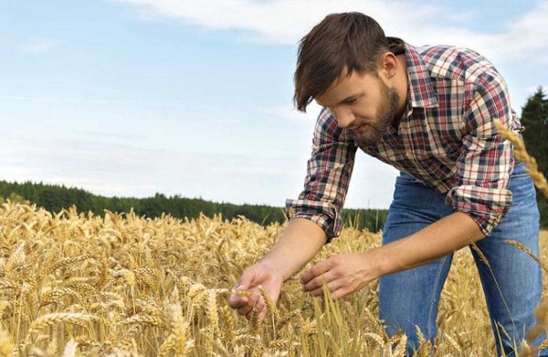 Πήρε ΦΕΚ το μέτρο των νέων αγροτών – Τι προβλέπεται
