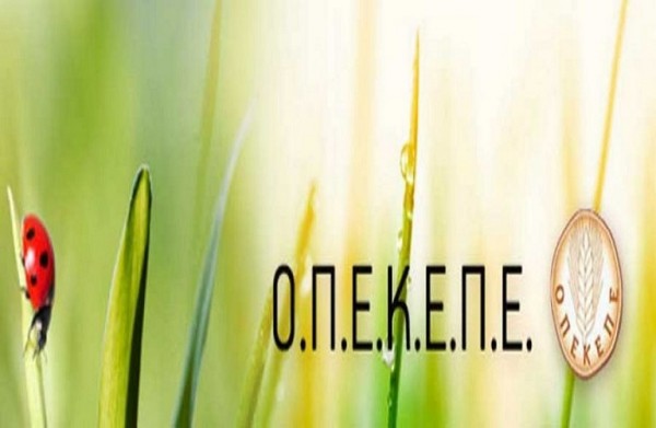 Έρχεται σχέδιο εξυγίανσης του ΟΠΕΚΕΠΕ