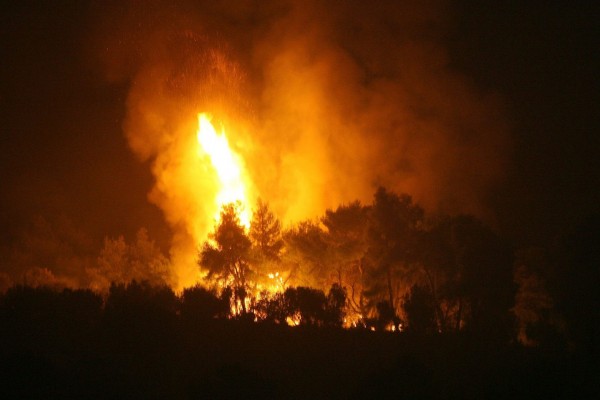 Ηλεία – Πυρκαγιά σε δασική έκταση στα Αγναντα – Επιχειρούν ισχυρές δυνάμεις
