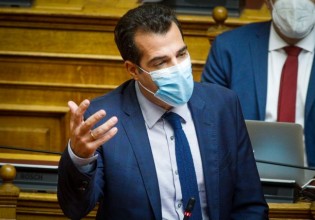 Πλεύρης – Επιδιώκουμε συνταγματική λύση με τους συμβασιούχους στην υγεία