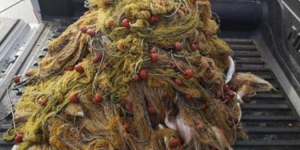 Βόλος – Βρήκε νεκρό αγνοούμενο ψαροντουφεκά και… τον ξαναπέταξε στη θάλασσα