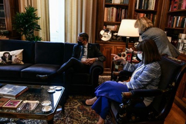 Δώρο το μαξιλάρι της ΠτΔ με τη γάτα – Τι απαντά ο δωρητής για τις αντιδράσεις