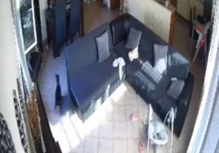 Κρήτη – Τρομοκρατημένο σκυλάκι την ώρα του σεισμού – Έκανε… σβούρες