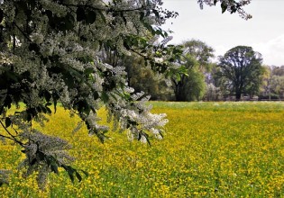 Στο στόχαστρο του ΥπΑΑΤ όσοι δήλωσαν δημόσιες εκτάσεις ως ιδιωτικές