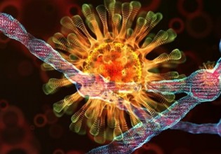 Κλινικές μελέτες για 9 φάρμακα που έχουν δράση κατά του κοροναϊού