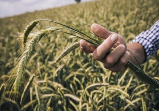 ΕΛΣΤΑΤ –  Αυξημένο το κόστος παραγωγής και οι τιμές των προϊόντων τον Ιούλιο