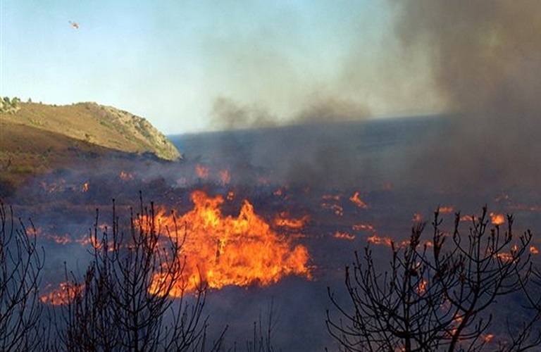 Αγροτικές εκμεταλλεύσεις – Πήρε ΦΕΚ η αποζημίωση από τις πυρκαγιές
