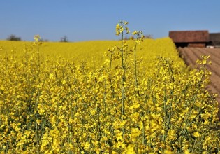 Κ. Μητσοτάκης – Τι είπε για τον πρωτογενή τομέα από τη ΔΕΘ