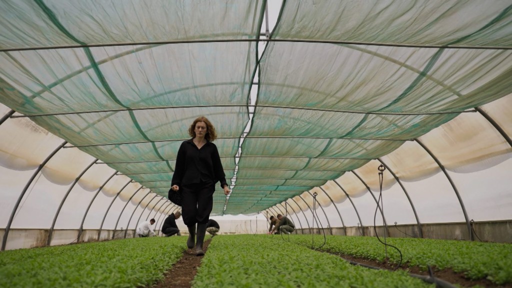 Η Γη της Ελιάς spoiler – O Δημήτρης δίνει εντολή στον Ανέστη να βγάλουν τη Μυρτάλη από τη μέση, μια και καλή