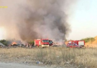 Μεγάλη φωτιά στον Ελαιώνα