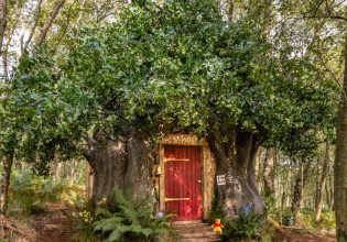 «Bearbnb» – Τώρα μπορείτε να μείνετε κι εσείς στο σπίτι του Winnie The Pooh