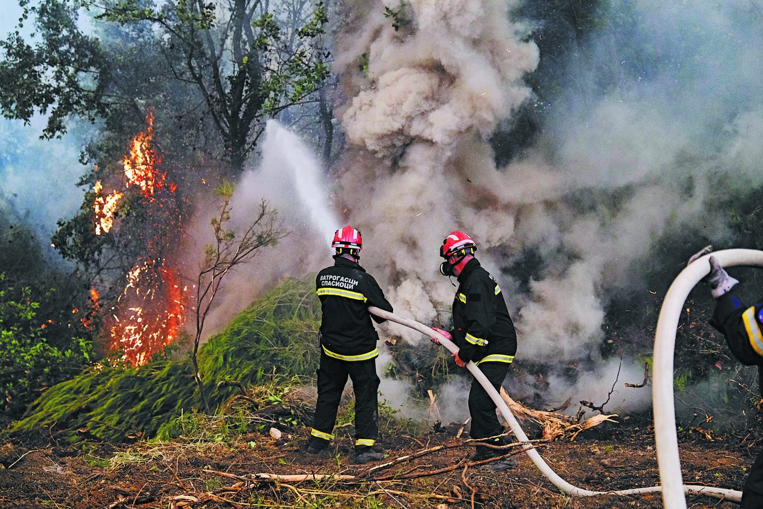Συναγερμός στην πυροσβεστική - Φωτιά στον Μαραθώνα – Ισχυρές δυνάμεις της Πυροσβεστικής