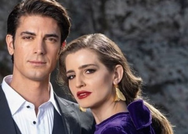 Άγριες Μέλισσες – Θρίλερ με πρωταγωνιστή – Παραλίγο να μην υπογράψει για τον νέο κύκλο