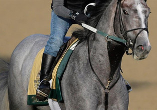 Πάτρα – Ξύπνησε από κώμα μετά από δύο μήνες –