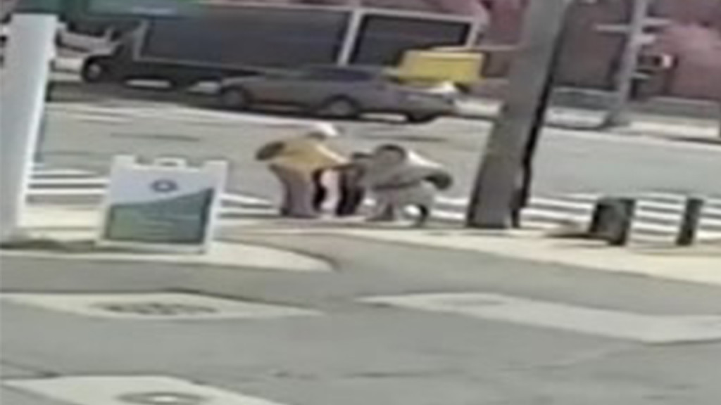 Νέα Υόρκη – Σοκαριστική απόπειρα απαγωγής παιδιού