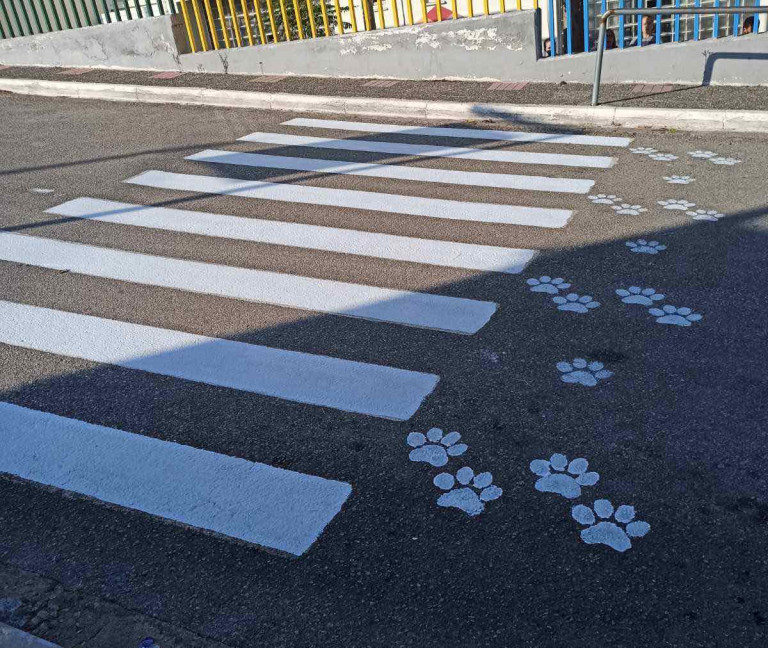 Διαβάσεις σκύλων στη Σαλαμίνα