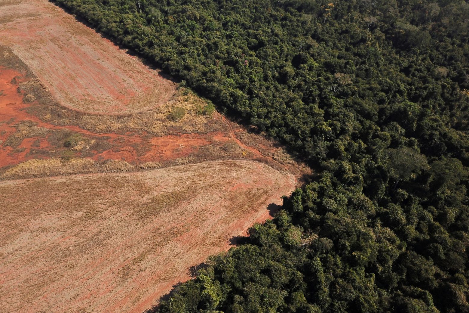 COP26 - O Μπολσονάρου «θα ζητήσει αποζημίωση» για να μην καταστρέφει τον Αμαζόνιο