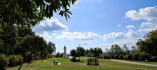 «Σχολικοί Αριστοτελικοί Περιπατητές»