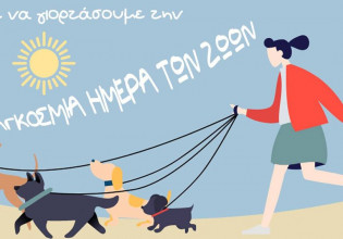 Οργανωμένη πορεία σκύλων στο Ηράκλειο Αττικής