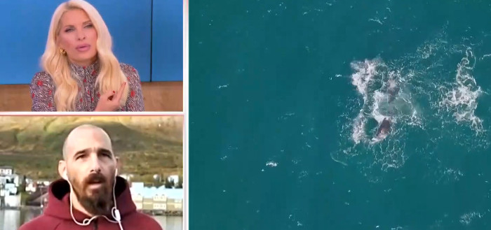 Γιώργος Αλευράς – Ο ψαράς από την Ελλάδα που έγινε επιστήμονας στην Ισλανδία