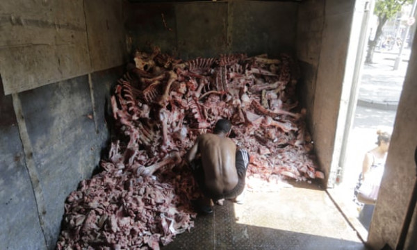 Βραζιλία – Ακραία πείνα και εξαθλίωση στη χώρα – Άνθρωποι αναζητούν τροφή ανάμεσα σε σφάγια ζώων