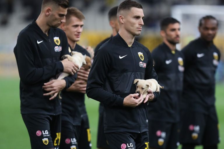 Έσπασαν τα τηλέφωνα για τα κουτάβια – Παίκτες της ΑΕΚ ζήτησαν να υιοθετήσουν κι οι ίδιοι