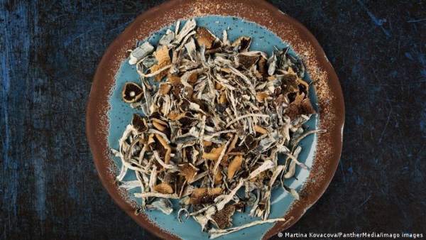 Ψυχεδελικές ουσίες κατά της κατάθλιψης;