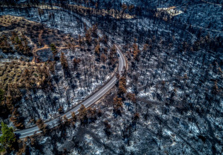 Τριαντόπουλος – Πώς προχωρούν τα έργα υποδομής στις πληγείσες περιοχές από φυσικές καταστροφές