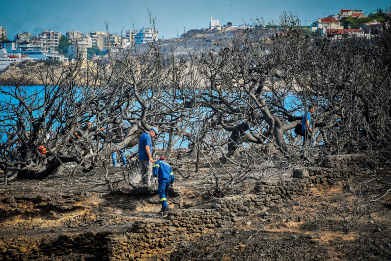Μάτι – Επιστολή-κόλαφος από συγγενείς των θυμάτων – «Θίγουν βάναυσα νεκρούς και ζωντανούς»