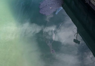 Καλιφόρνια – Τεράστια οικολογική καταστροφή από πετρελαιοκηλίδα – Η όμορφη παραλία έχει μετατραπεί σε νεκροταφείο ψαριών