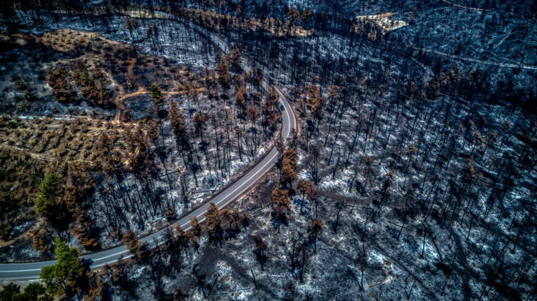 Εύβοια – Οι μαθητές επέστρεψαν στα σχολεία των καμένων περιοχών – Κοινή μάχη με τους δασκάλους τους για να προσαρμοστούν